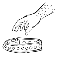 Copy of auralsex-release-1.1-01